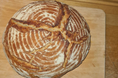 brot_1_01