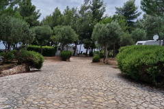 nevio_05